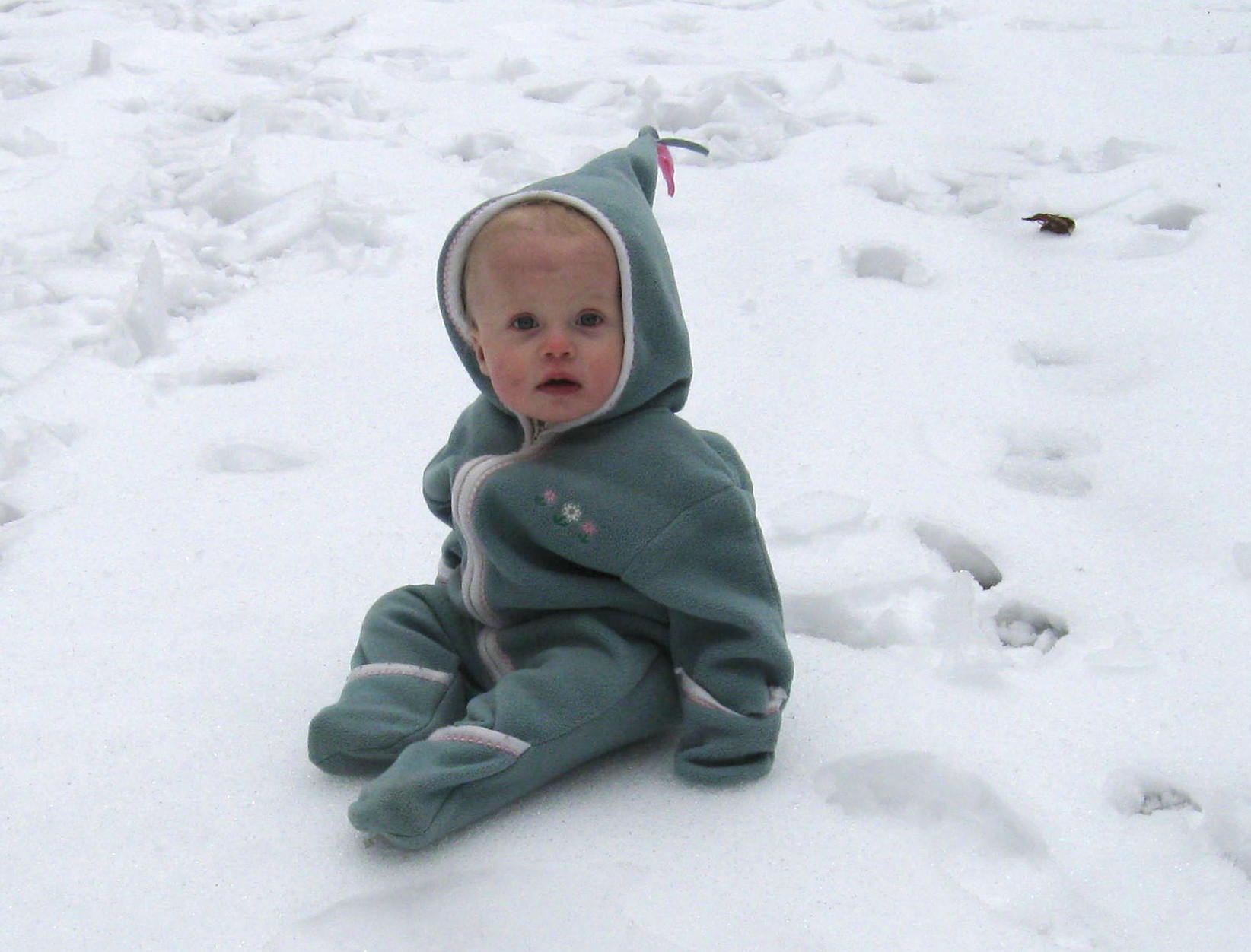 Snow Baby