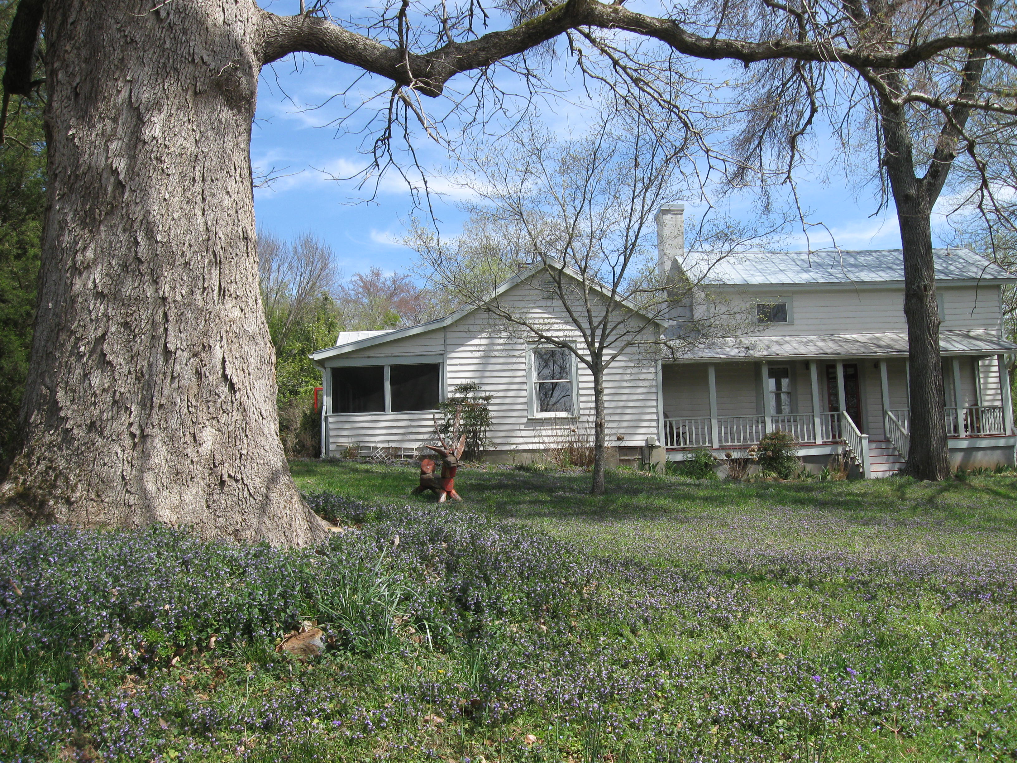 Beautiful House